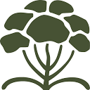 Secret Nature CBD logo